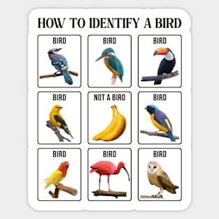 How To Identify A Bird Sticker